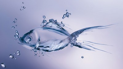 ماهی-آبی-طرح گرافیکی-حیوان-حیوانات